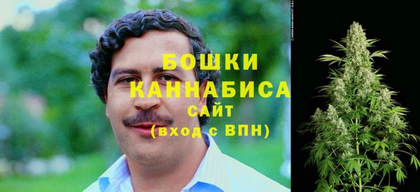 соль курить ск Новозыбков