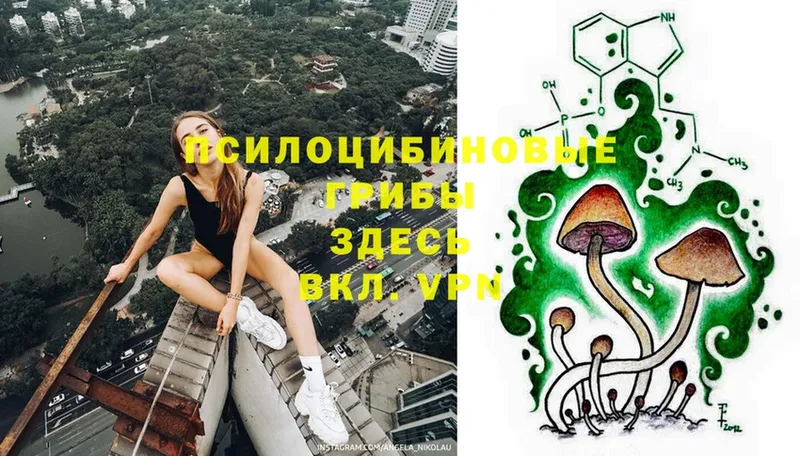 Псилоцибиновые грибы Psilocybe  hydra   Яровое 