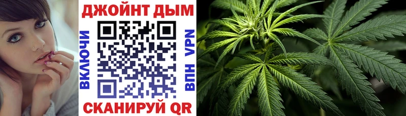 Канабис сатива  Яровое 